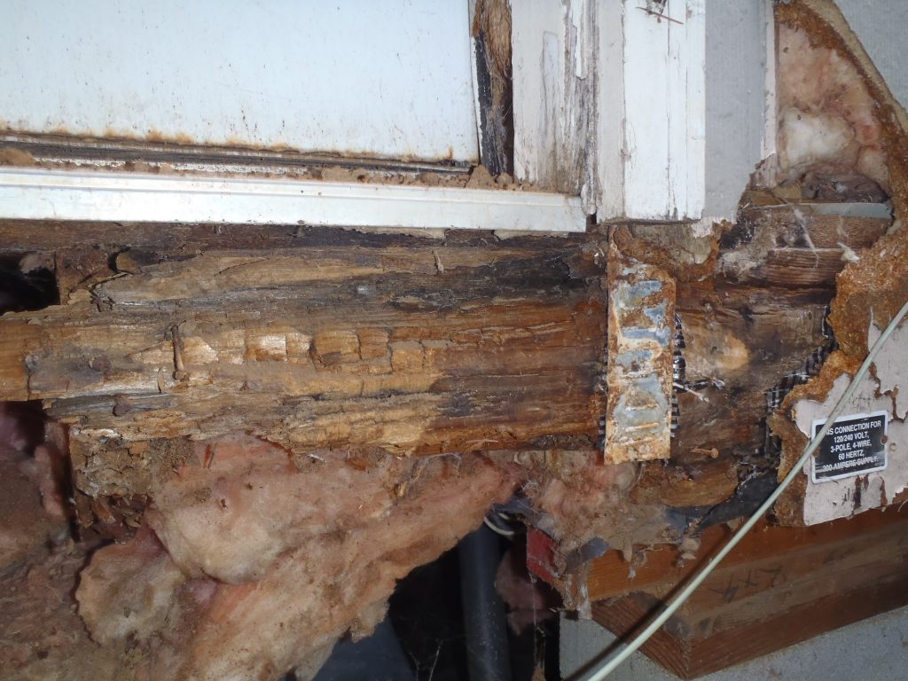 Deck ledger gone wrong
